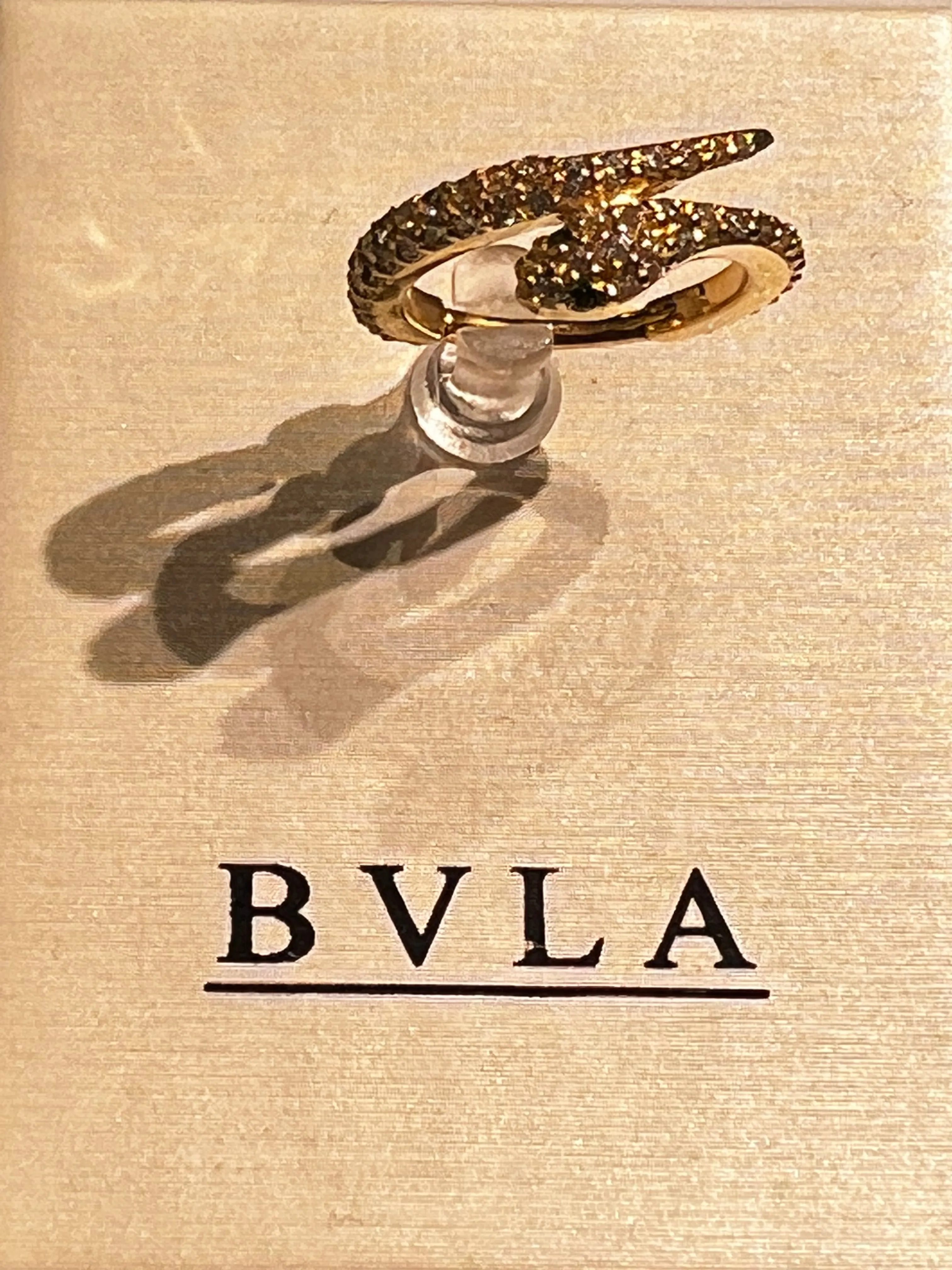 BVLA Medusa