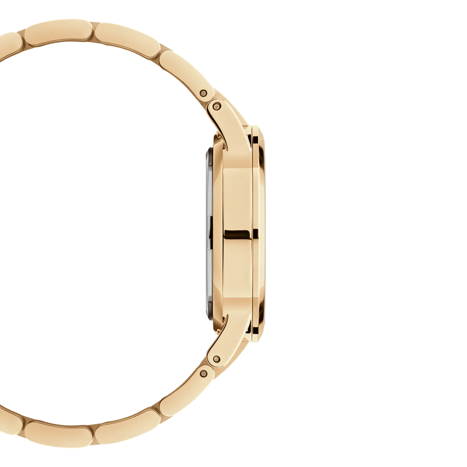 Daniel Wellington Iconic Link 32mm
