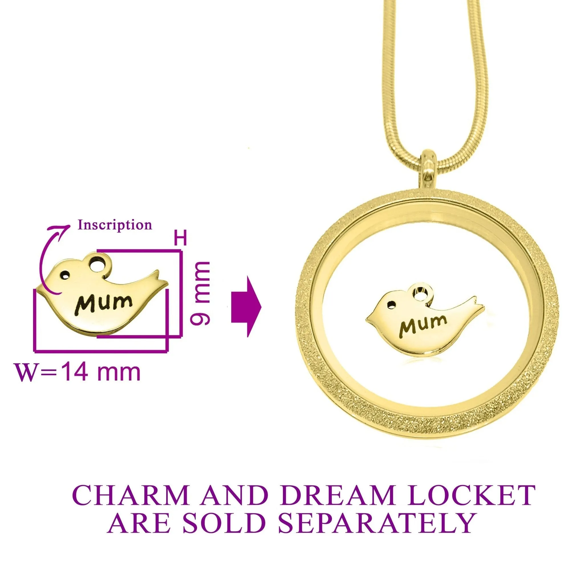 Mother Bird Charm For Dream Locket